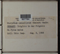 Image Associated With the Occurence